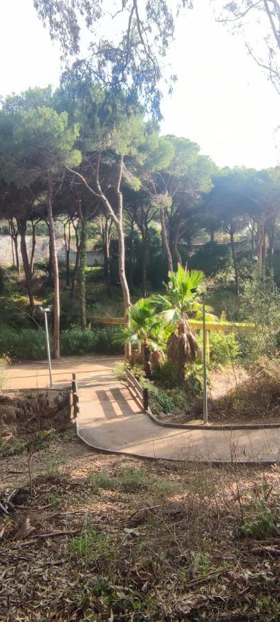 Beach Forest Paradise Marbella Kültér fotó