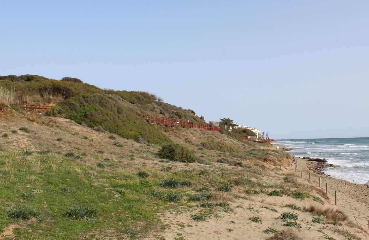Beach Forest Paradise Marbella Kültér fotó